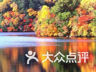 四扩句(每个句子至少扩写两处) 2.我爱看繁星？游戏画面