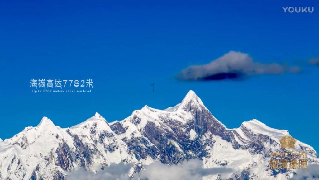 拯救可爱小怪
